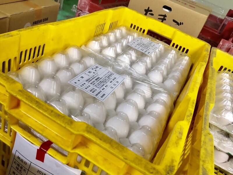 ドライバー／配達／ドライバー補助 ルート配送 普通免許だけで正社員へ 週休2日制 未経験歓迎